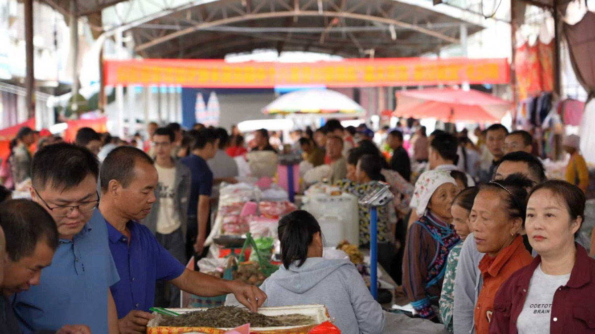 巴马开展“党旗引领 农市大集”活动